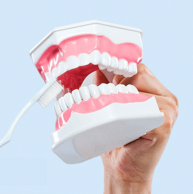 img-Caring-for-your-Dentures